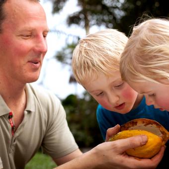 Man showing kids cacao pod